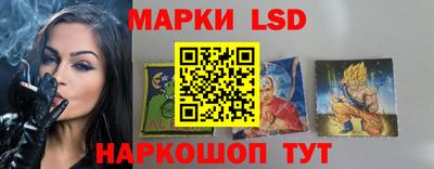 амф Гай