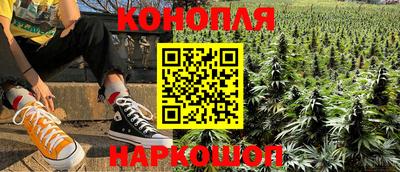 трава Гатчина
